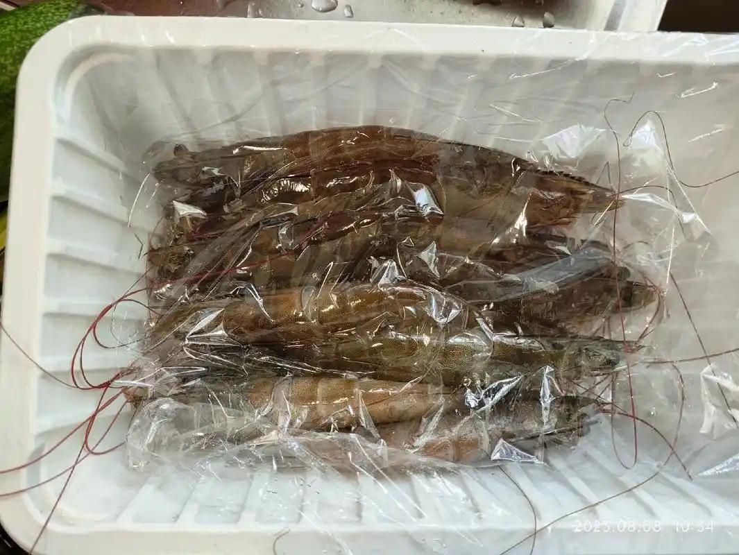 青岛大虾.#我的抖音生活日记 #存储模式   青岛大虾  3 - 抖音