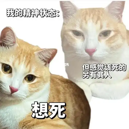 在崩溃边缘反复横跳