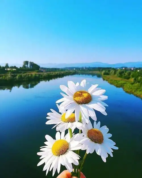 2020最有内涵的人生感悟句子字字千金富含哲理