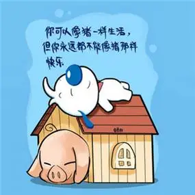 辛巴狗搞笑文字头像 辛巴狗神经语录图片