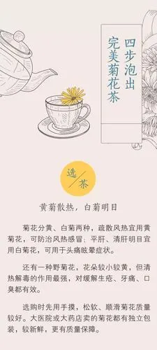 一杯菊花茶的养生功效