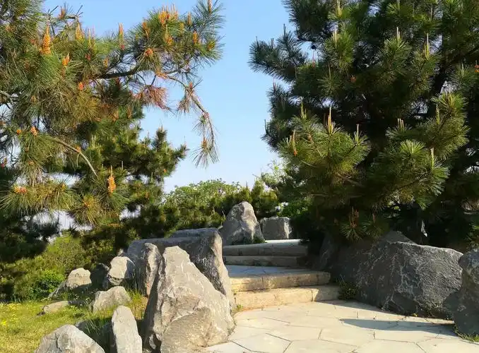 金牛山美醉了(摄影)