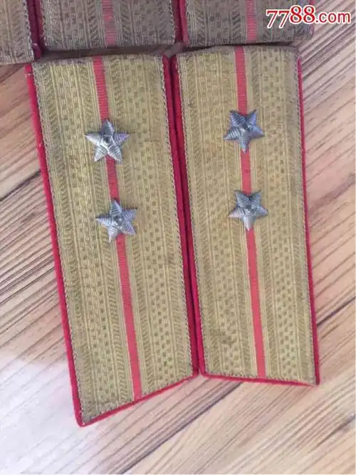 一副少见的55式中尉大衣领章