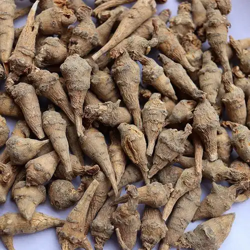 无数头三七 500克 云南文山特产小三七支秧 春三七田七水洗晒干