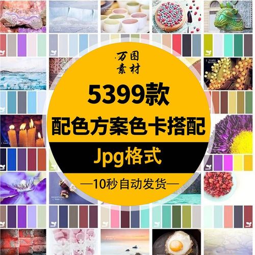 国际流行配色方案色彩色卡搭配大全室内设计师软装颜色彩jpg素材 标准