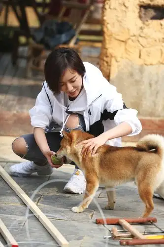 王珞丹做客《向往的生活》 与恩师赵宝刚综艺合体