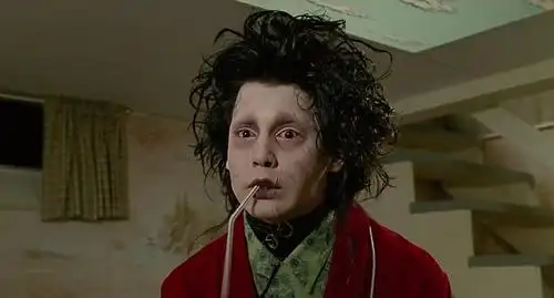 剪刀手爱德华观后感