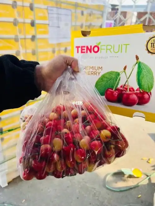 黄金车厘子上海同城配送