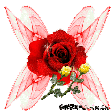 400_400gif 动态图 动图