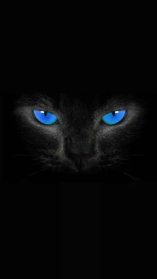 纯黑色开灯的聊天壁纸背景_微信