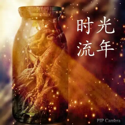 关于过去记忆的句子(32个选定的句子)