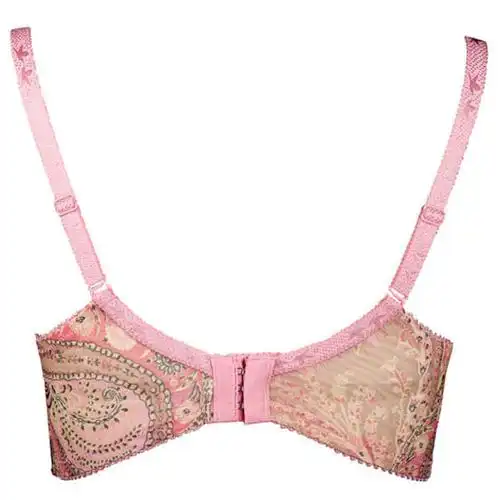 富妮来厚款刺绣花纹聚拢型b杯文胸 金色