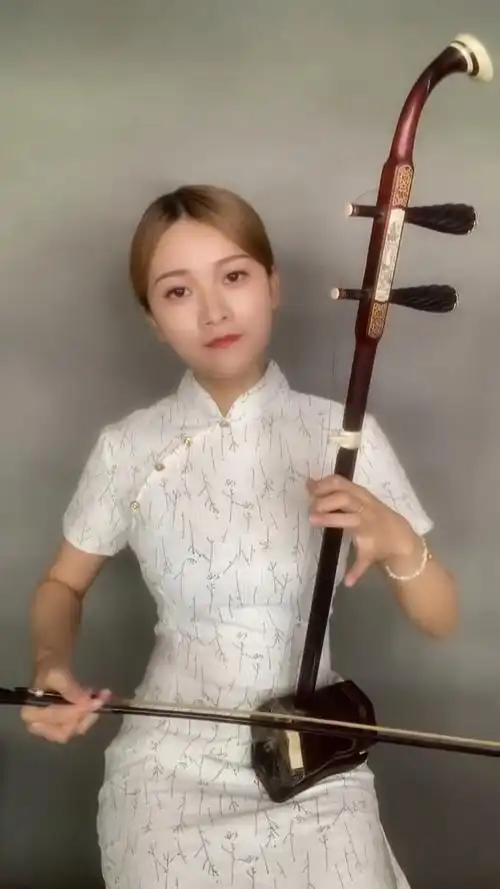 经典老歌#美女二胡拉奏草原歌曲《天边》演奏得悠扬深情,余音袅袅