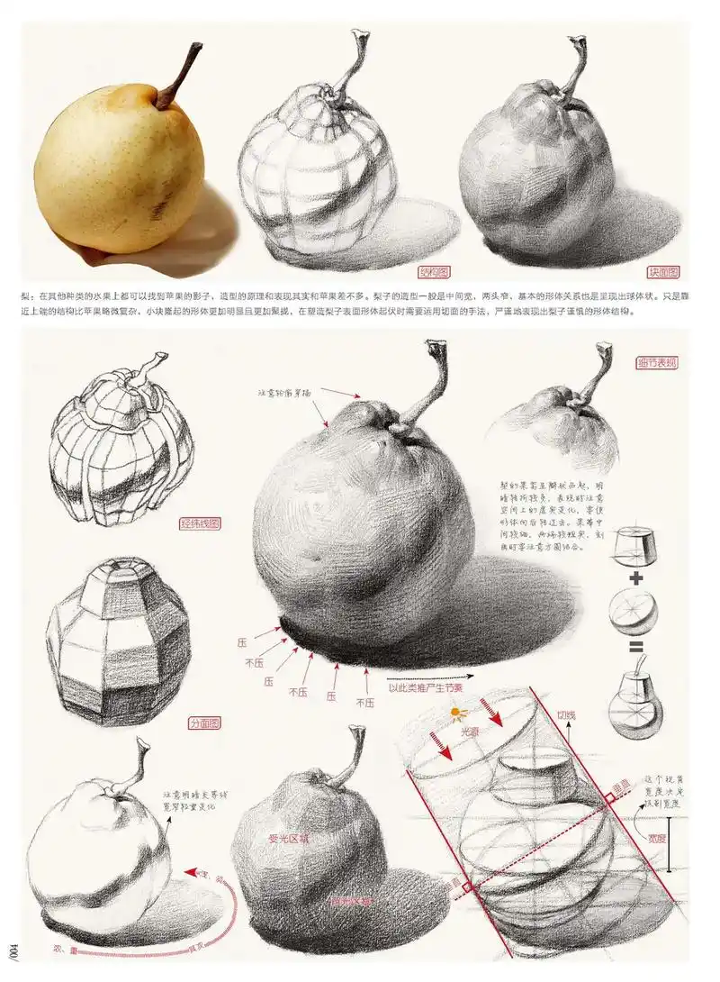 素描静物临摹图.#少儿美术教育 #创意美术课件 #素描静物 - 抖音