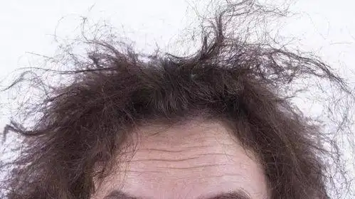 沙发发质是什么意思,沙发发质适合什么发型_竞价网