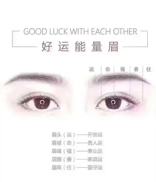 相学谈眉毛~ 719915生意人要做眉毛,增加贵人