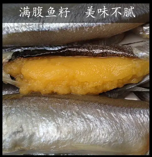 加拿大多春鱼满籽海鲜多春鱼籽鲜活特大多春鱼鲜多籽鱼500g