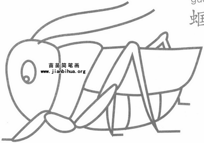 蝈蝈简笔画配色