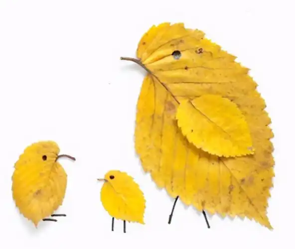 怎么做粘贴画简单用叶子做(树叶贴画,孩子的手工作业,快来和孩子一起