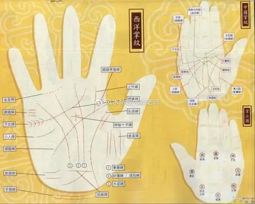 在手相预测运势上,一般都是看"男看左手,女看右手".
