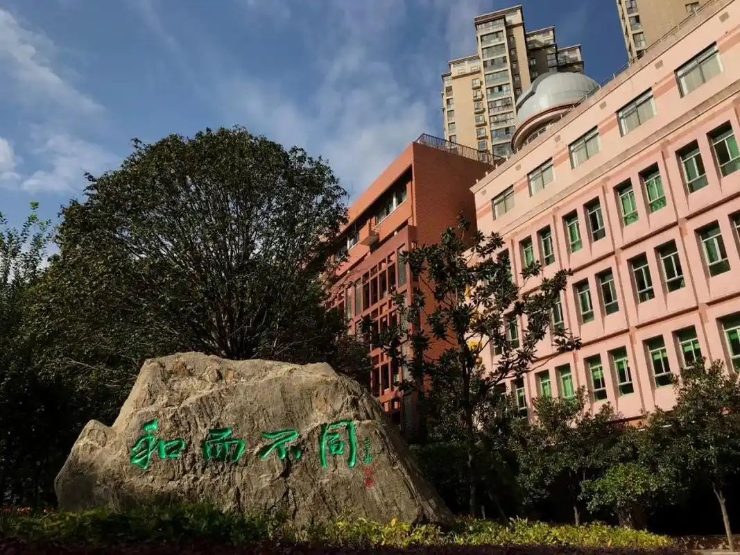 我和我的学校|武汉市育才小学校长晏莉:追梦少年