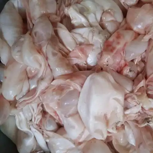 新鲜速冻鱼泡胖头鱼大头鱼泡鲢鱼泡单层双层草鱼泡 1