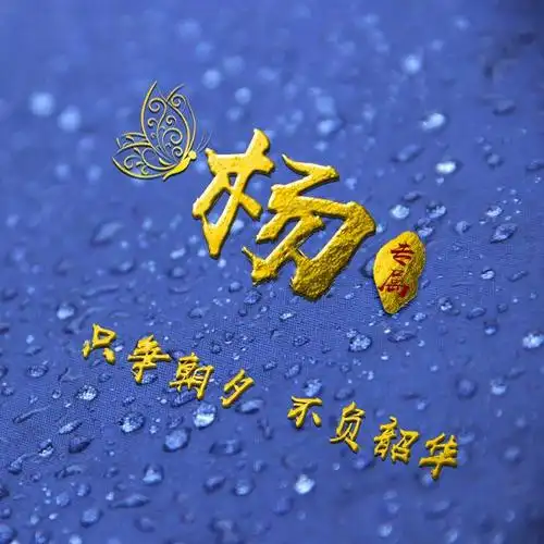 杨微信头像 杨微信头像图片大全_布阁拉