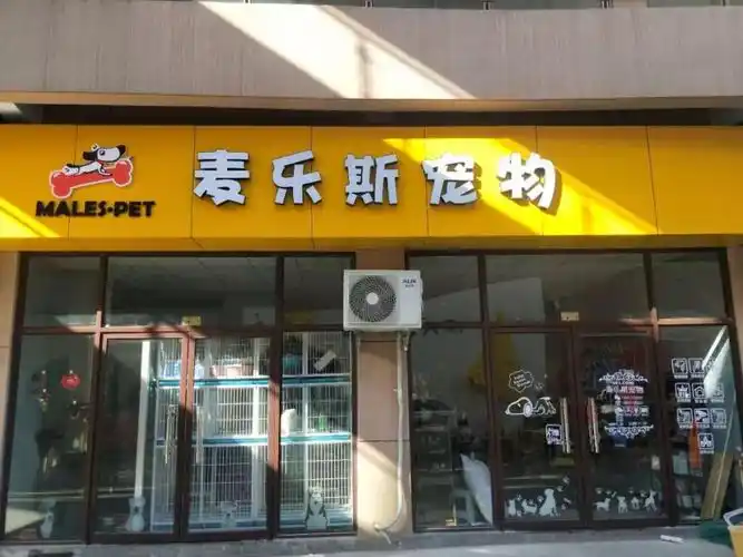 万洲第一街麦乐斯宠物店国庆期间活体犬买一送三
