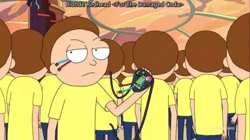 后面我们知道,真凶就是平行宇宙的黑化莫蒂.