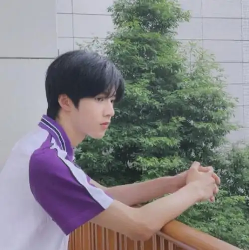 刘耀文中考成绩巴蜀中学成绩排名