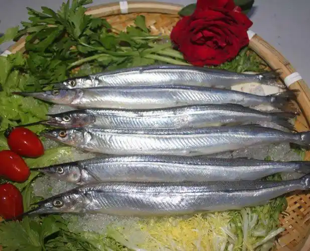 鲜,是水产品的生命和价值,教你七点如何挑选识别鲜鱼