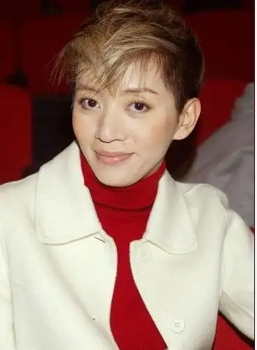 梅艳芳生前照(资料图)