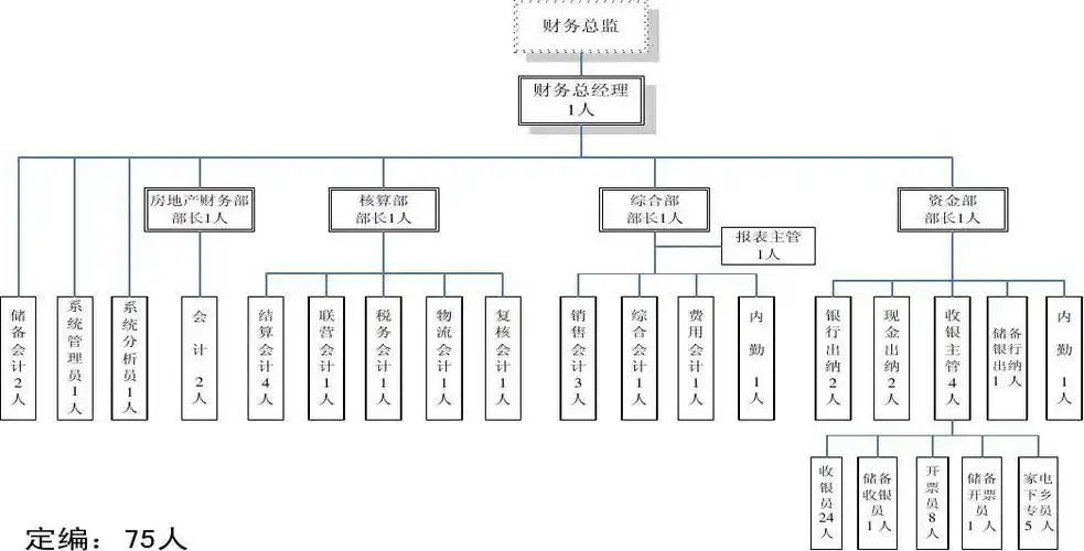 某集团公司整个财务体系架构. ****集团财务管理组织架构