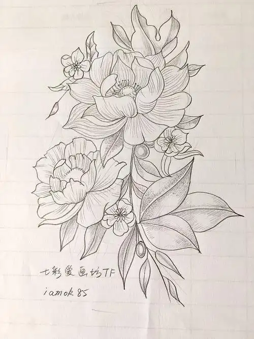 线描花卉503