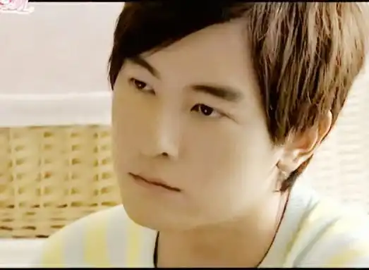 郑元畅 江直树 恶作剧之吻