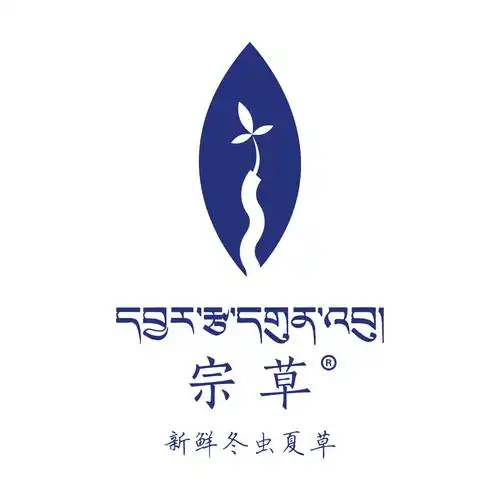 宗草新鲜冬虫夏草