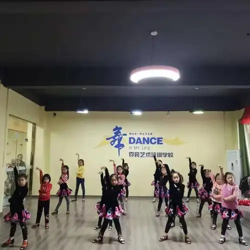 学校开设:拉丁舞,街舞,中国舞,古筝,绘画,口才.