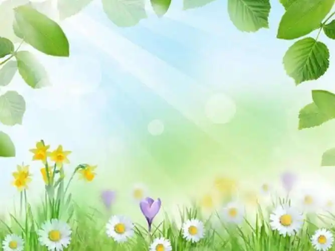 扬帆启航—长岗小学附属幼儿园欢迎您! - 美篇