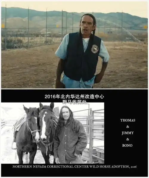 《野马》:寻找救赎