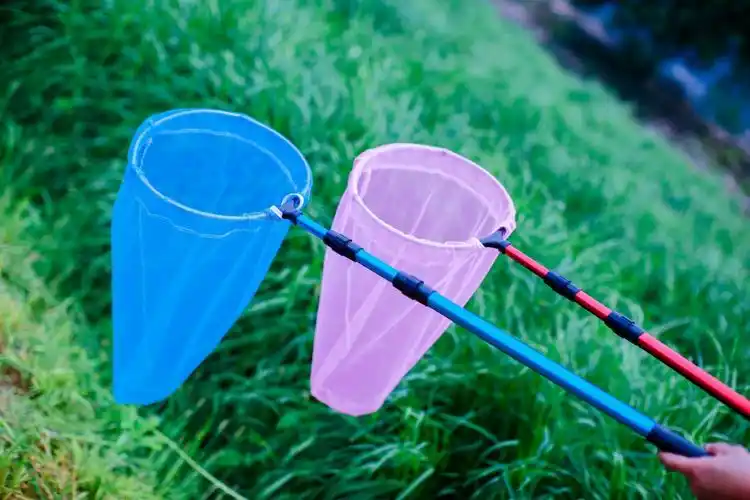 儿童捞鱼网彩色伸缩捕虫网蝴蝶网蜻蜓昆虫鱼缸小鱼网蝌蚪网兜批发