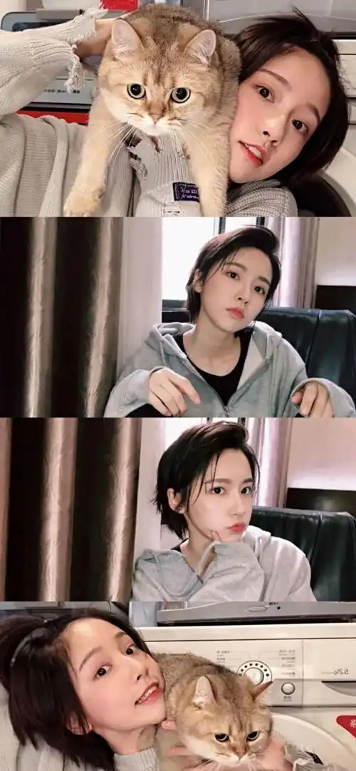 成果诸葛大力全面屏壁纸