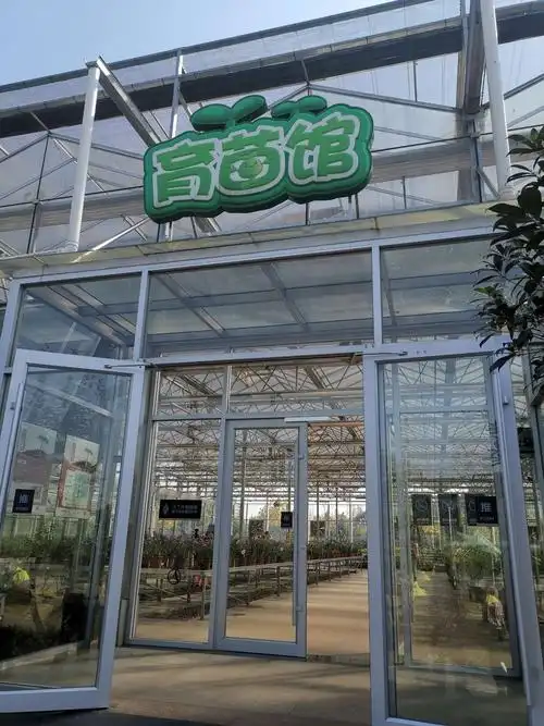 室内种植馆又分为育苗馆,番茄馆,叶菜馆,瓜果馆,葡萄馆等室内无土栽培