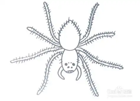 少儿简笔画如何用彩笔一笔一笔画蜘蛛