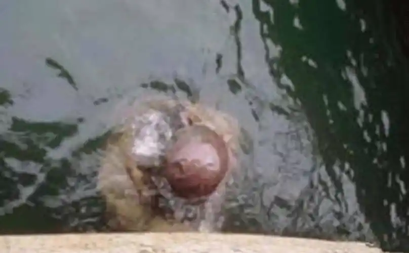 黄河捞尸人被称"黄河水鬼",直立在水中的尸体不能捞,禁忌不少