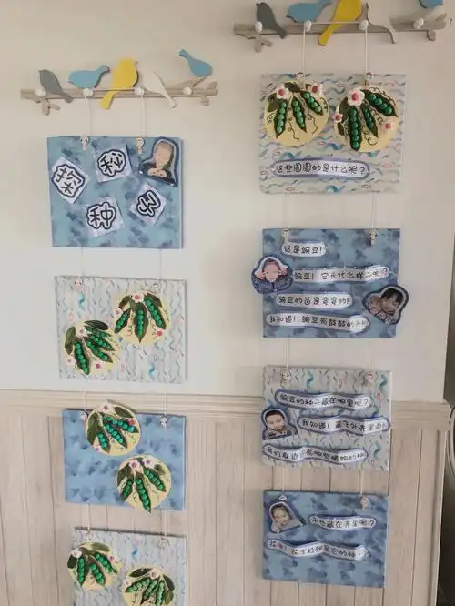 幼儿园环创主题墙 #幼儿园种子作品  #神奇种子在哪里02