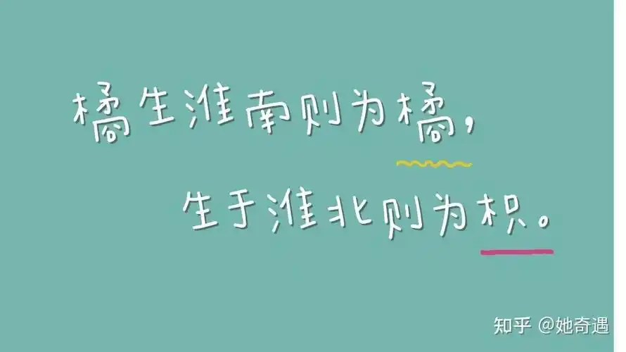 话说,橘生淮南则为橘,生于淮北则为枳.