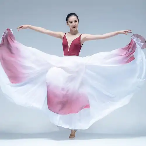 现代舞蹈服女飘逸大裙摆古典舞半身裙中国民族练功裙艺考演出服