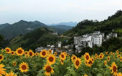 美丽乡村—石潭村 - 美篇