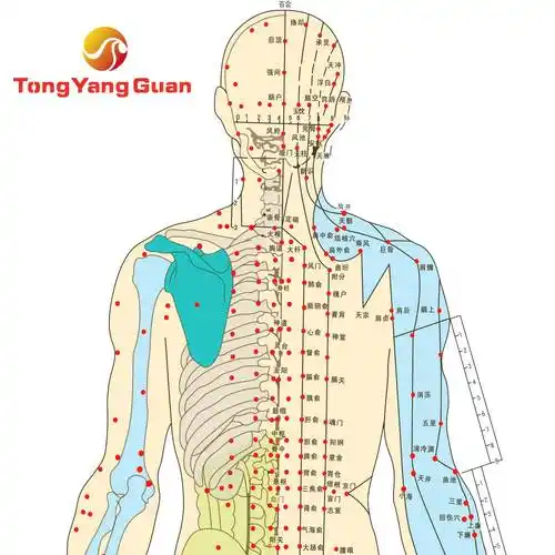 砭石刮痧温灸器操作教程背部刮痧腹部热敷按摩