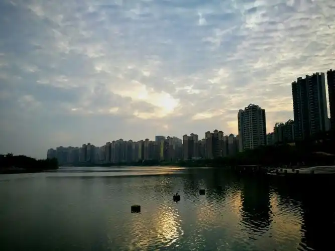 我在南方的艳阳里